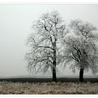 Väterchen Frost