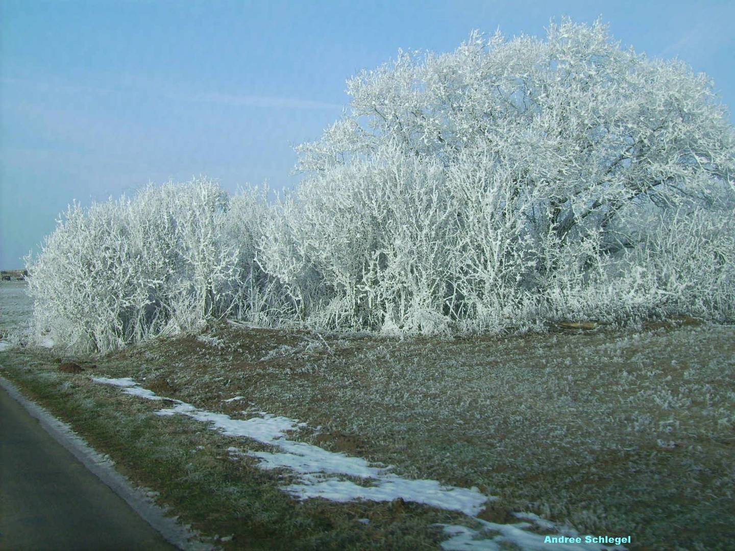 Väterchen Frost