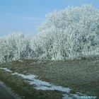 Väterchen Frost