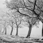 Väterchen Frost