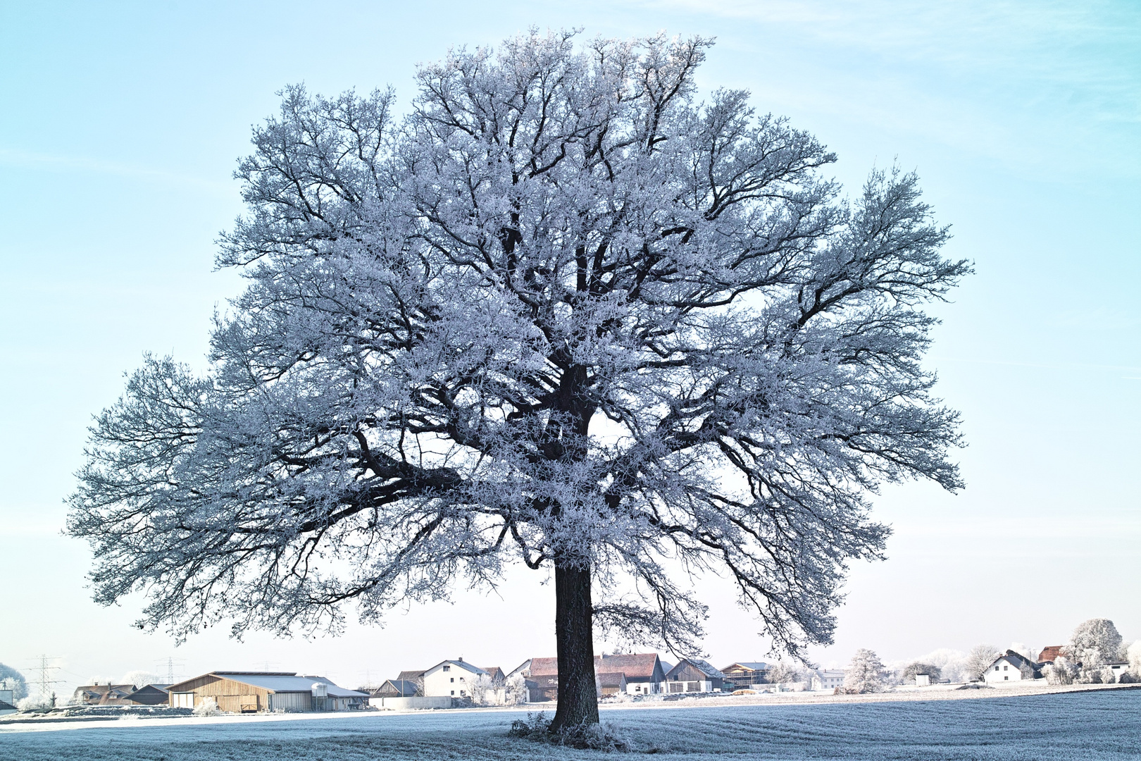 "Väterchen Frost"