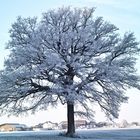 "Väterchen Frost"