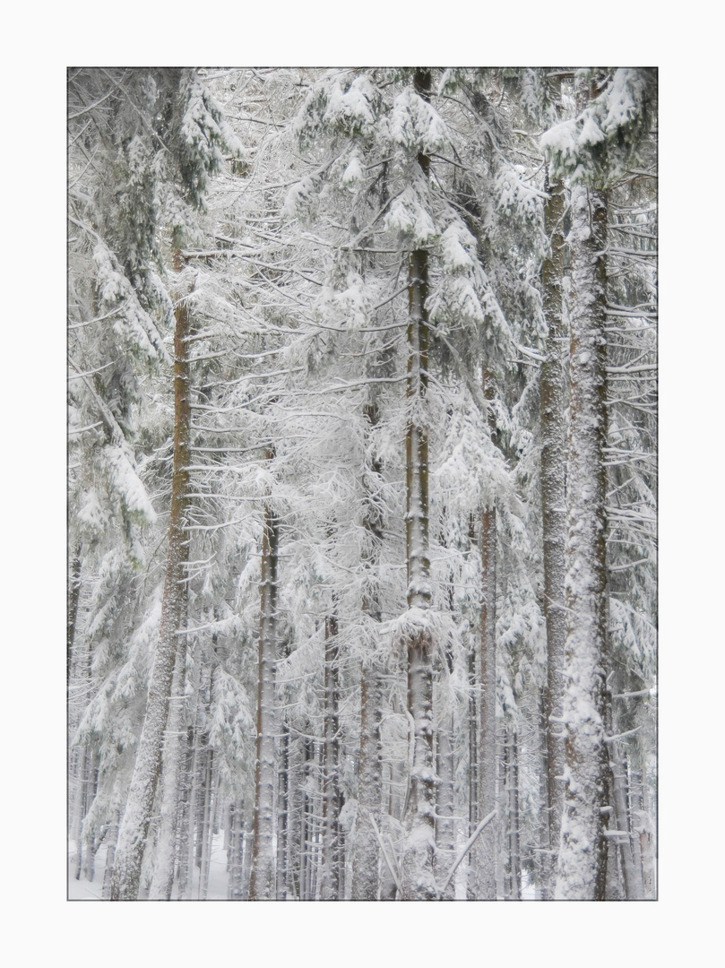 Väterchen Frost, ...