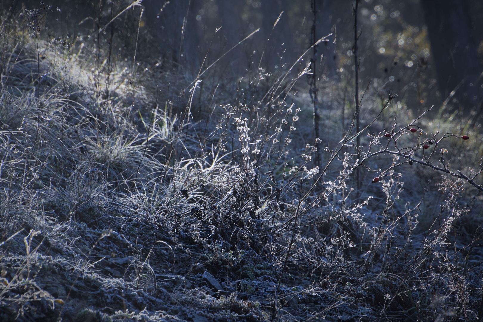 Väterchen Frost .......