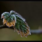 Väterchen Frost