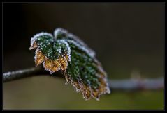 Väterchen Frost