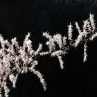 Väterchen Frost