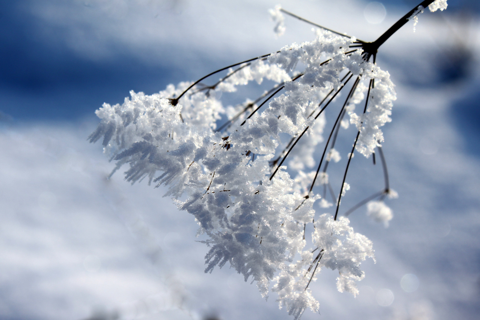 Väterchen Frost