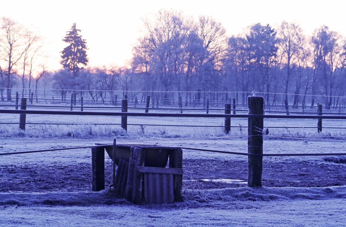 Väterchen Frost