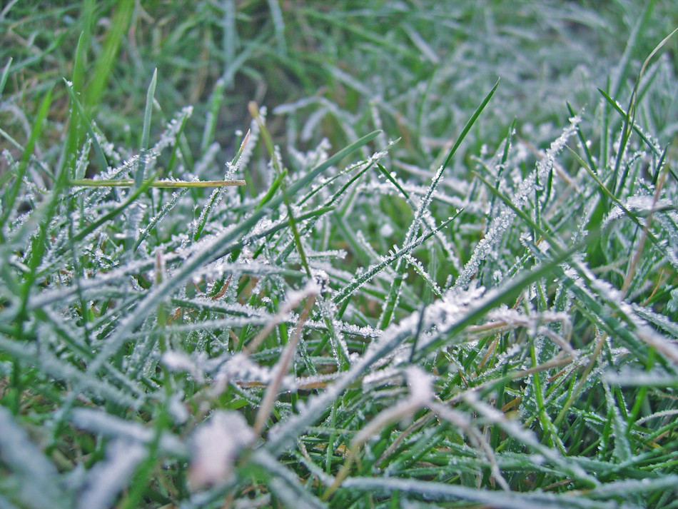 Väterchen Frost