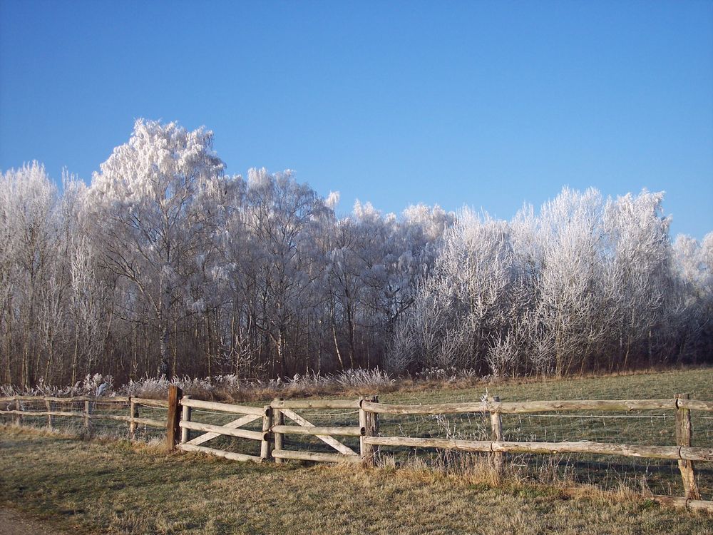 Väterchen Frost