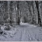 Väterchen Frost