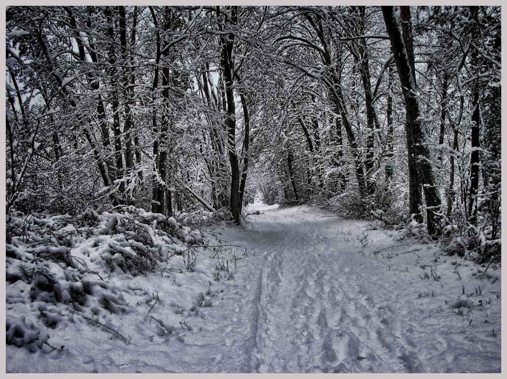 Väterchen Frost