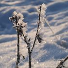 Väterchen Frost