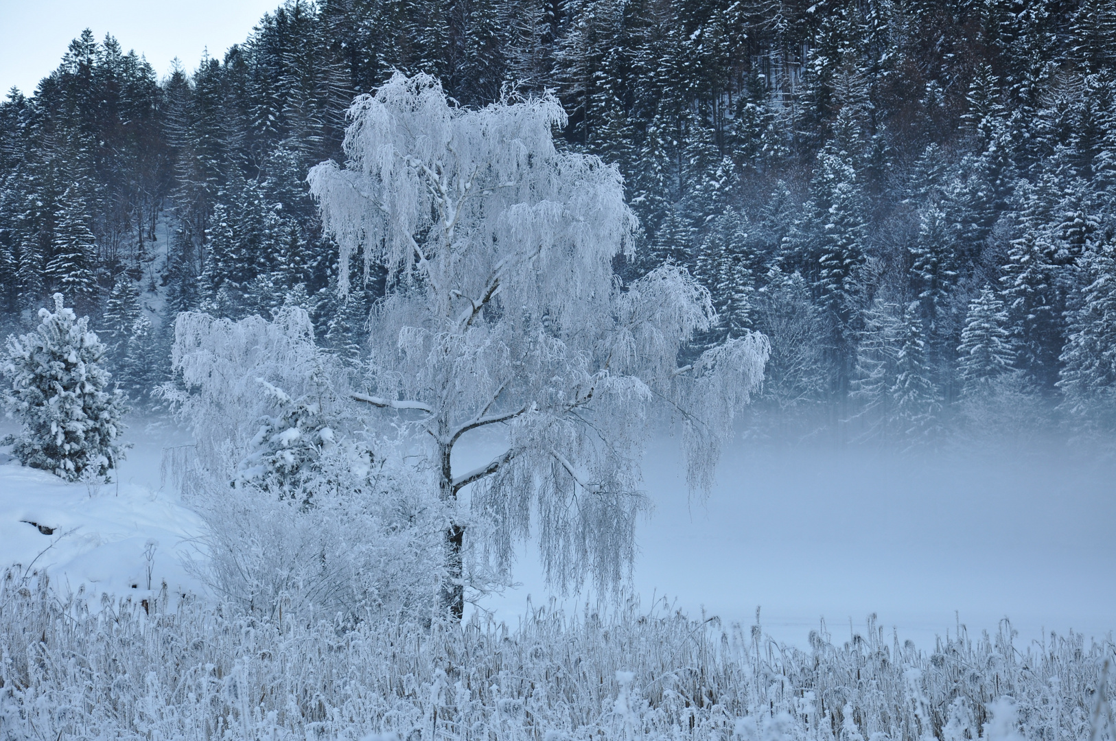 Väterchen Frost hält Einzug