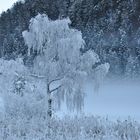 Väterchen Frost hält Einzug