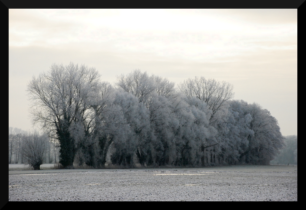 Väterchen Frost hat gezaubert