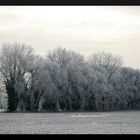 Väterchen Frost hat gezaubert