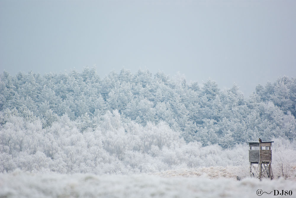 Väterchen Frost hat zugeschlagen!