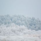 Väterchen Frost hat zugeschlagen!