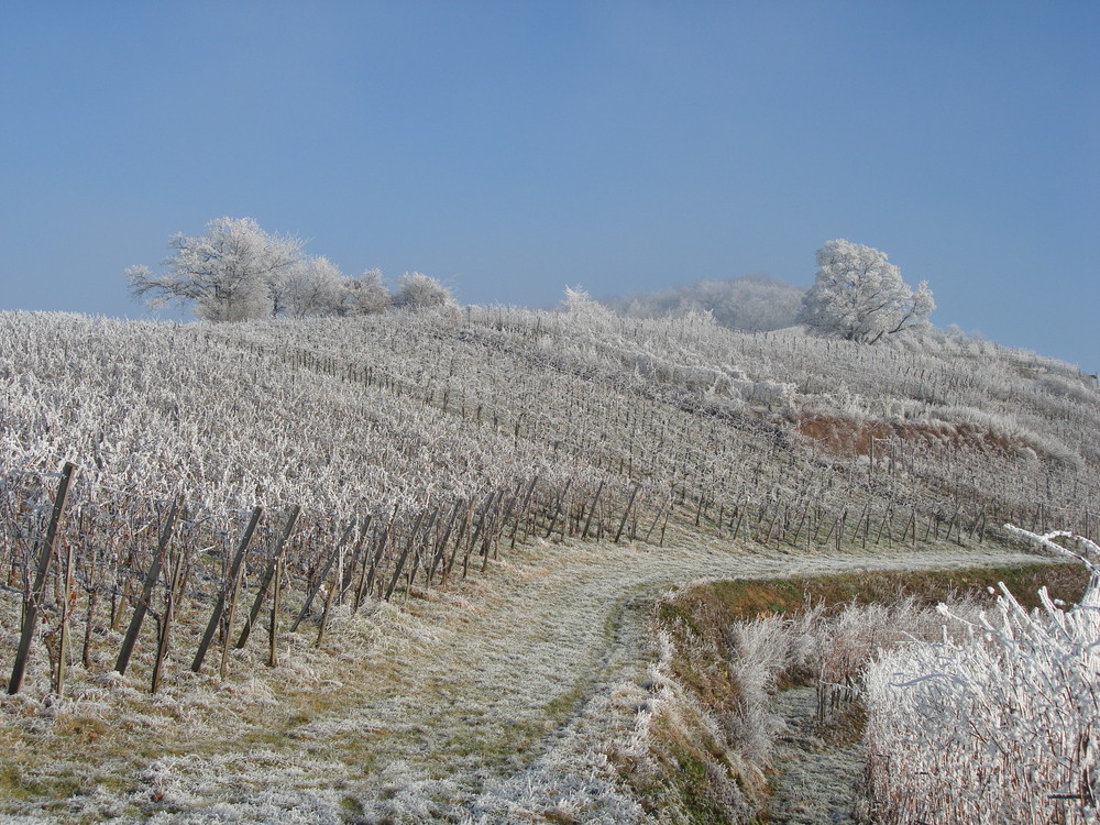 Väterchen Frost im Markgräflerland