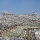 Väterchen Frost im Markgräflerland