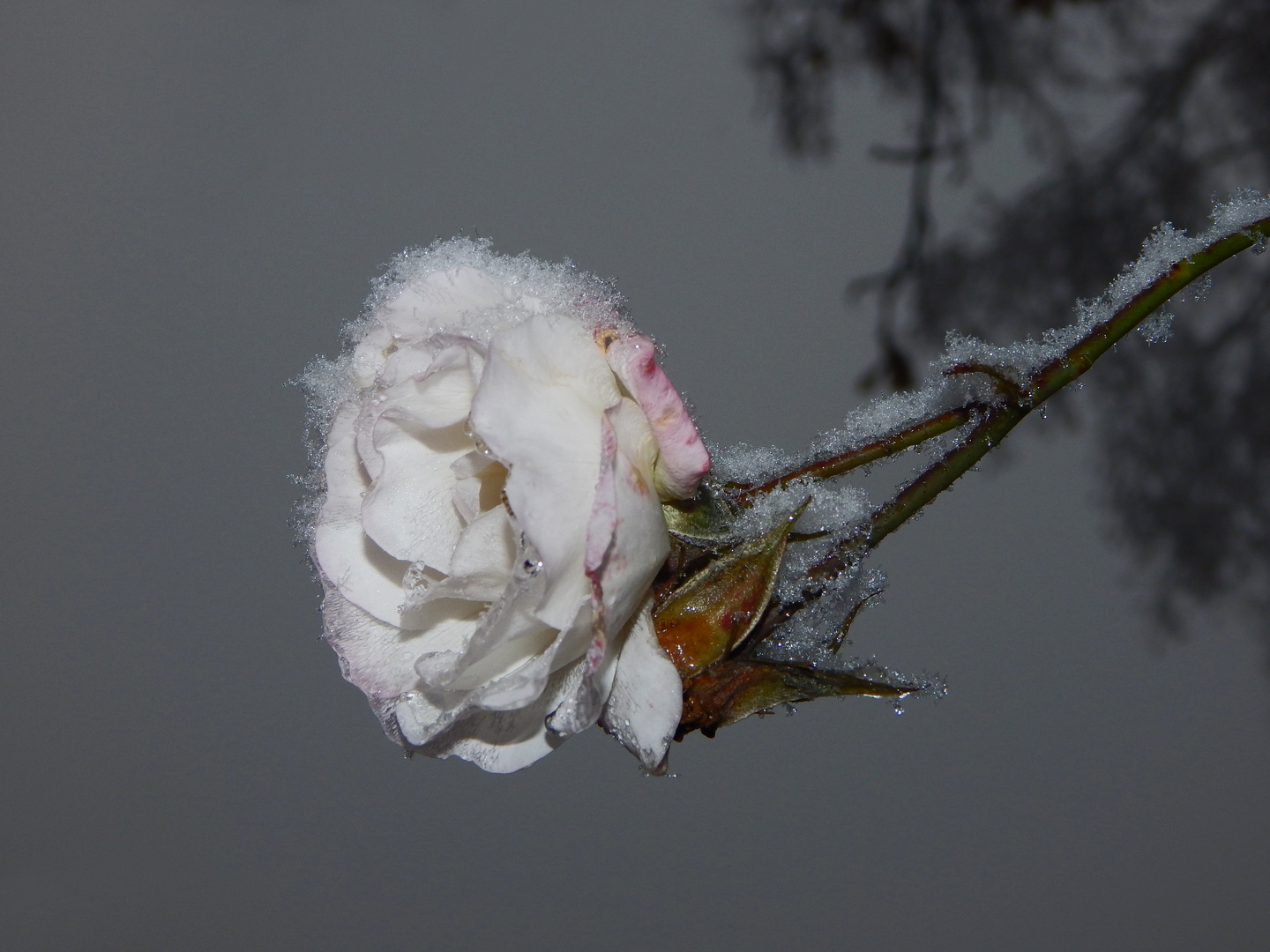 Väterchen Frost ist da