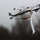 Väterchen Frost ist da.......