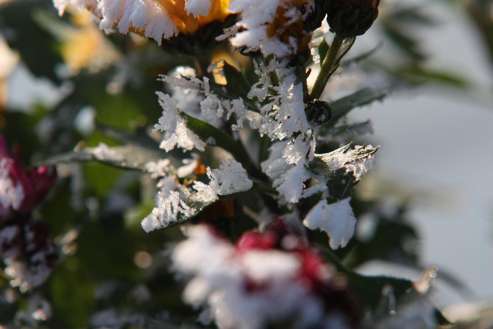 Väterchen Frost ist da