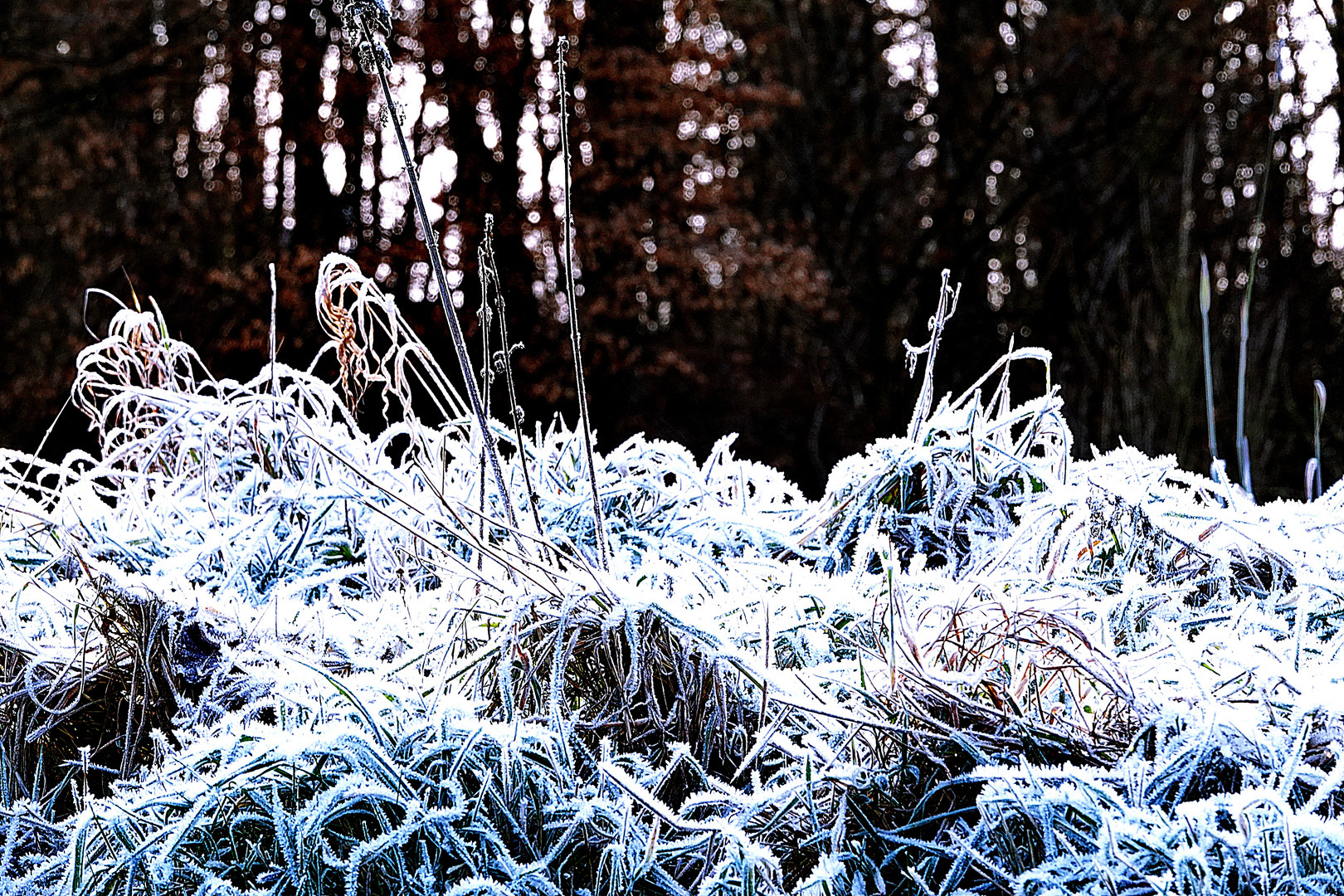 Väterchen Frost ist mal kurz vorbeigekommen.