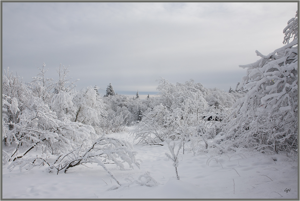 Väterchen Frost ist noch da