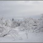 Väterchen Frost ist noch da