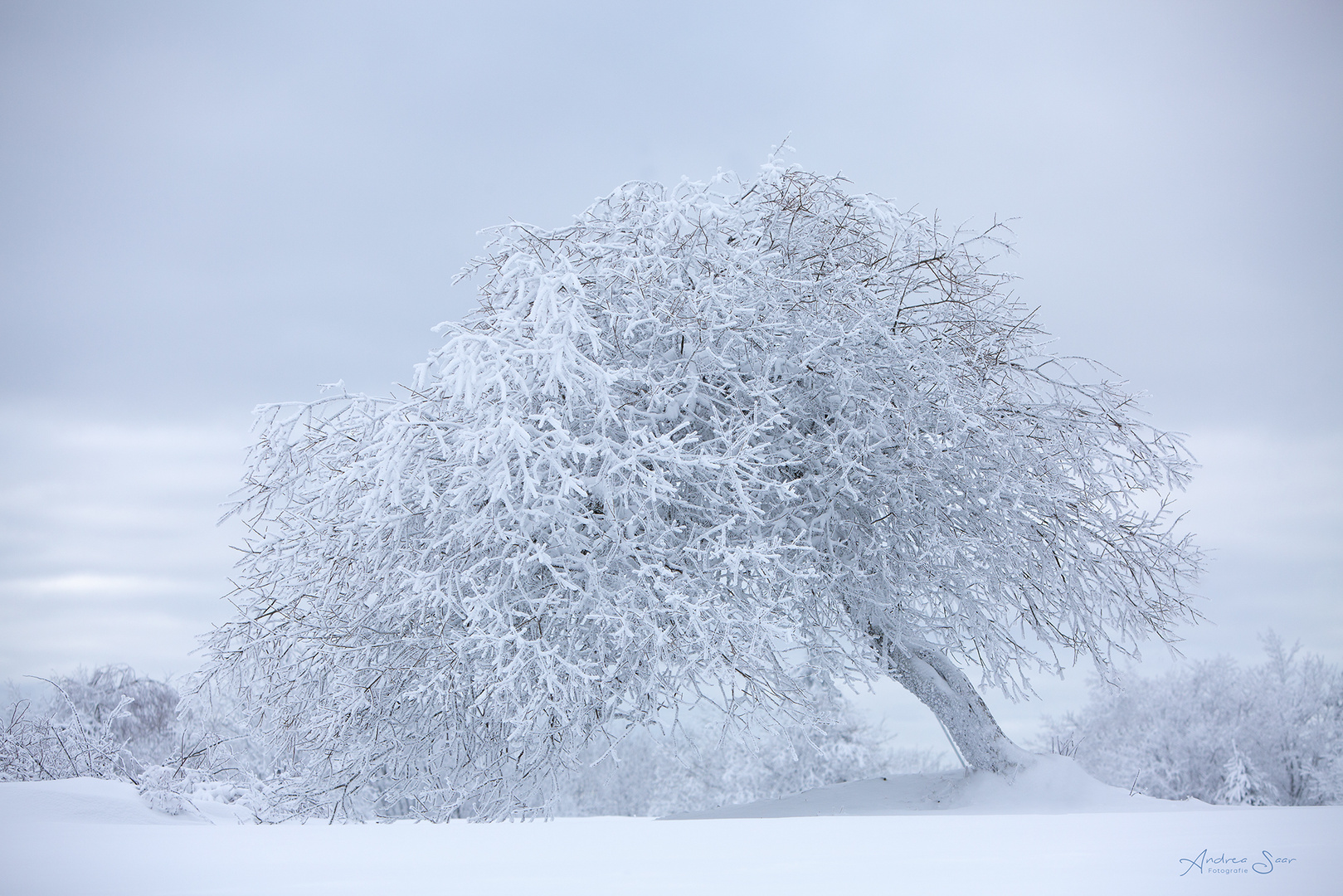 ... Väterchen Frost ist über's Land gezogen ...