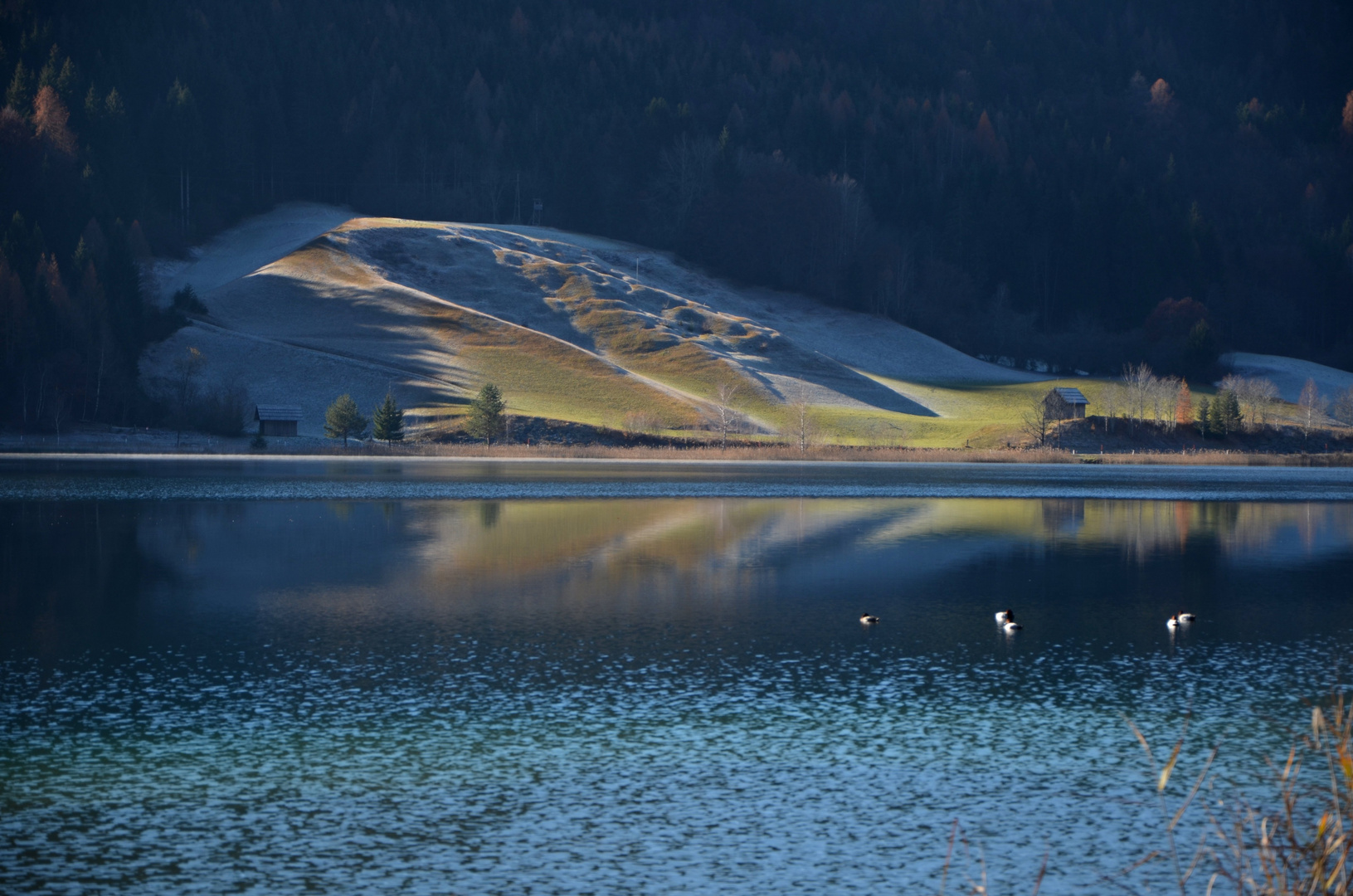 Väterchen Frost kehrt langsam ein..... (Weißensee,16.11.2011 )