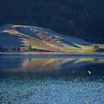 Väterchen Frost kehrt langsam ein..... (Weißensee,16.11.2011 )