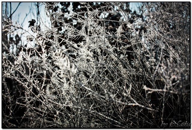 Väterchen Frost lässt Grüßen ;)