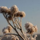 Väterchen Frost lässt grüßen