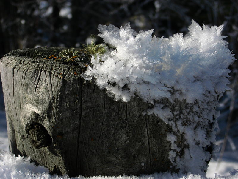 Väterchen Frost lässt grüssen