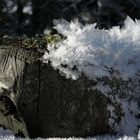 Väterchen Frost lässt grüssen