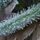 Väterchen Frost produziert eisige Nadelkissen