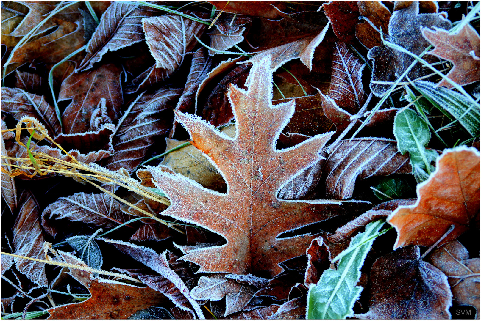 Väterchen Frost war da, ....