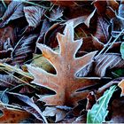 Väterchen Frost war da, ....