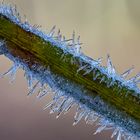 "Väterchen Frost war da......III"