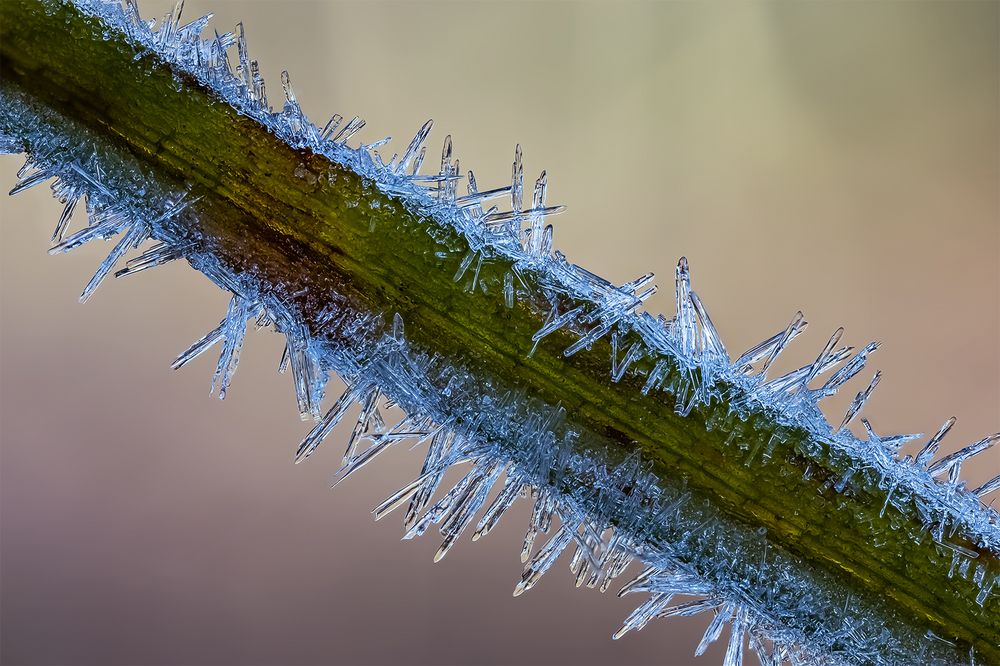 "Väterchen Frost war da......III"