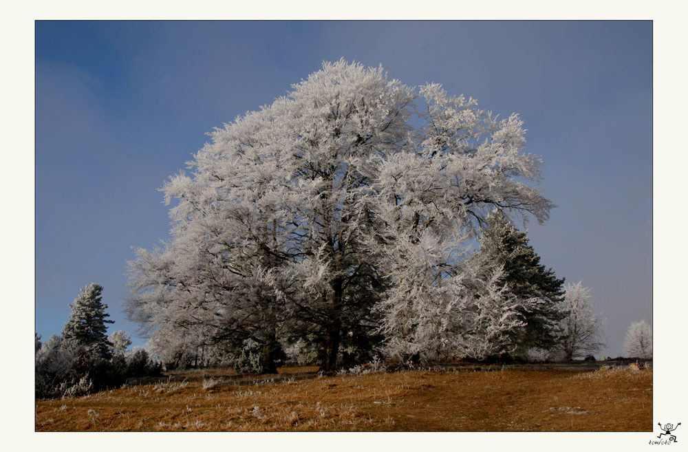 Väterchen Frost, war zu Besuch