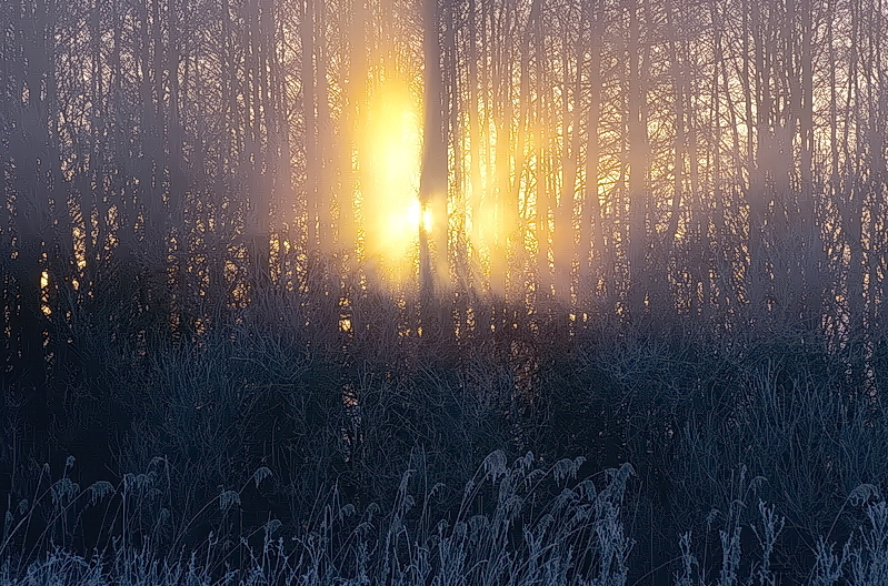 Väterchen Frost will noch nicht weichen..