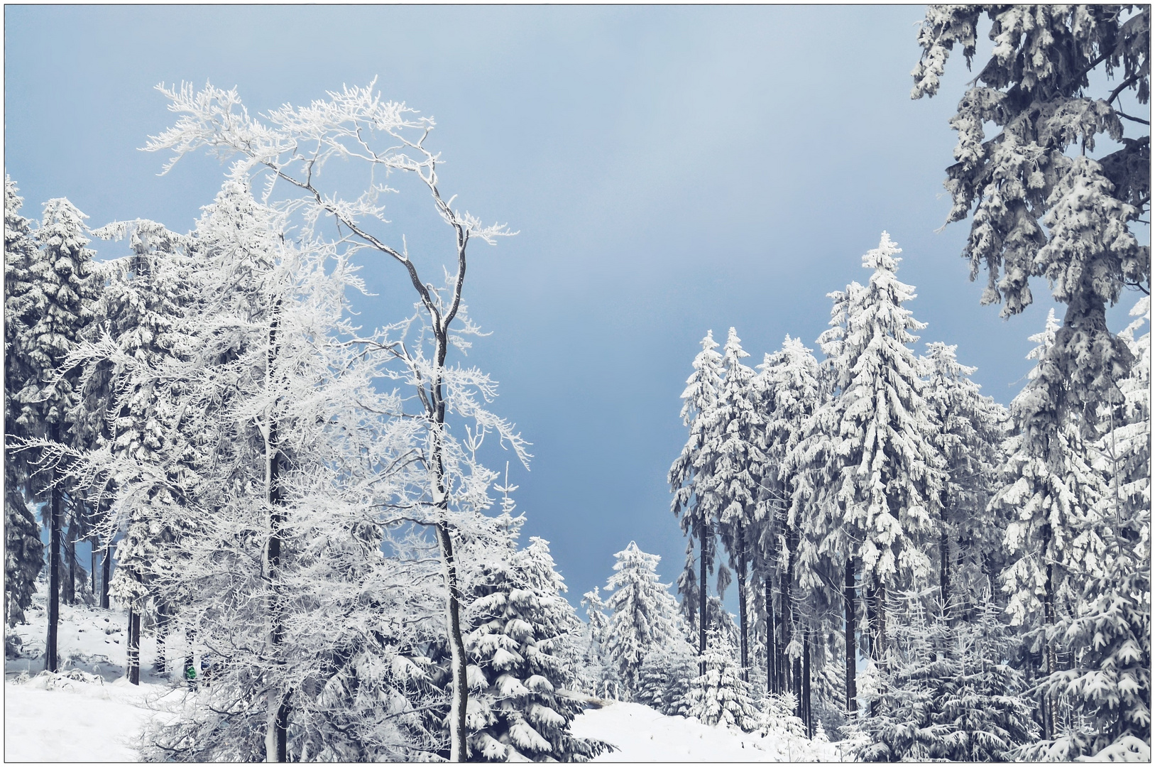 Väterchen Frost, wo bist Du?