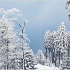 Väterchen Frost, wo bist Du?