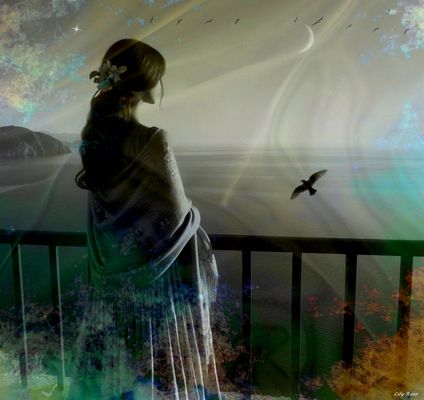 ... Vague à Lame ...