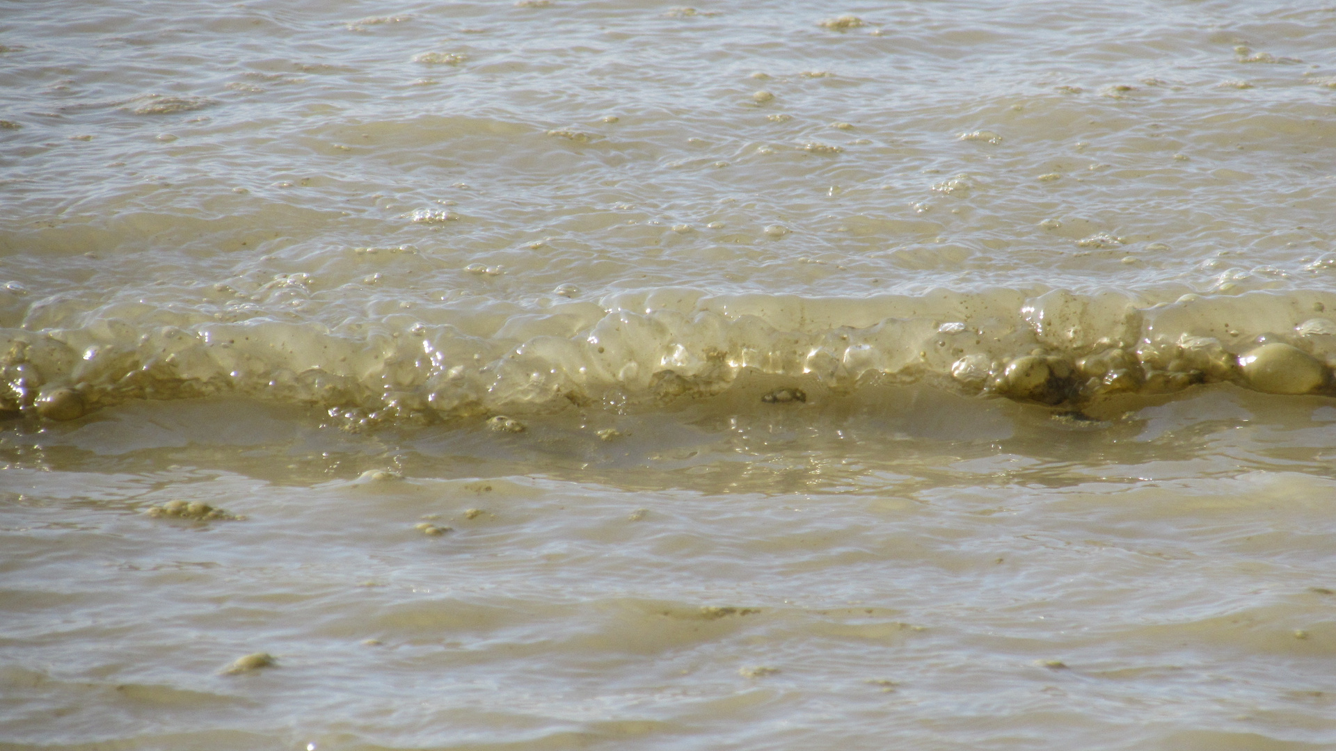 ..Vaguelette de sable et vase..